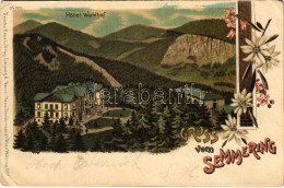 * T3 1899 (Vorläufer) Semmering, Hotel Waldhof. Art Nouveau, Floral, Litho (Rb) - Ohne Zuordnung