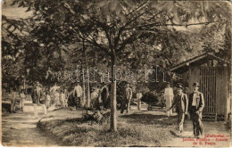 T2/T3 1909 Jaboticabal (Sao Paulo), Jardim Publico / Park, Garden (small Tear) - Non Classés