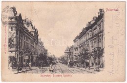 T2/T3 1906 Bucharest, Bukarest, Bucuresti, Bucuresci; Bulevardul Elisabeta Doamna, Drogueria / Street, Drugstore Shop (E - Non Classés