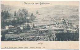 T2/T3 1914 Ploska, Plosca (Putyla, Putilla); Gruss Aus Der Bukowina / Bukovina (ázott Sarok / Wet Corner) - Zonder Classificatie