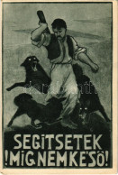 * T2/T3 Segítsetek Míg Nem Késő! Kiadja A "Szózat" Magyarország Területi Épségének Védelmi Ligája Napilapja / Hungarian  - Sin Clasificación