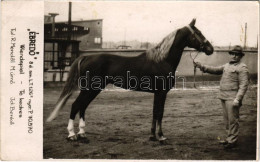 ** T2/T3 "Ébredő" Versenyló. Wiendspiel - Te Kedves. Tulajdonos: R. Mendöl M. úrnő, Id: Benkő / Hungarian Racing Horse.  - Unclassified