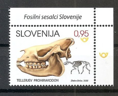 SLOVENIA 2020,,FOSSIL MAMMALAS IN SLOVENIA,PROHYRACODON TELLERI,MNH - Fossili