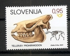 SLOVENIA 2020,,FOSSIL MAMMALAS IN SLOVENIA,PROHYRACODON TELLERI,MNH - Fossielen