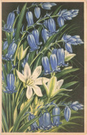 FLEURS - Endymion Et Ornithogale - Colorisé - Carte Postale Ancienne - Bloemen