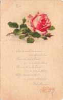 FLEURS - PLANTES - ARBRES - Fleurs - Rose - Colorisé - Carte Postale Ancienne - Bloemen