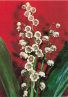 FLEURS - PLANTES - ARBRES - Fleurs - Colorisé - Carte Postale Ancienne - Fleurs