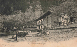 BATIMENTS - Chalet De Montagnes - Vaches -  Carte Postale  Ancienne - Otros & Sin Clasificación