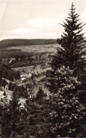 ALLEMAGNE -  Freundenstadt Im Schwarzwald Blick Ins Christofstal - Carte Postale  Ancienne - Freudenstadt