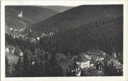 Blick Vom Kurort Bärenfels Nach Kipsdorf 1959 - Kipsdorf