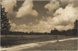 Wolkenstimmung Im Erzgebirge Am Galgenteich - Geising