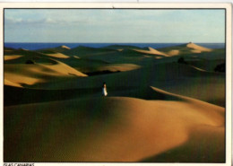 Islas Canarias , Dunas De Maspalomas - Sonstige & Ohne Zuordnung