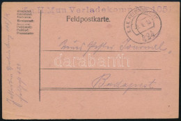 1918 - Altri & Non Classificati