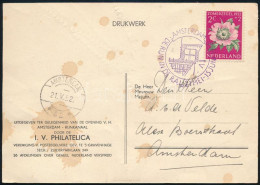 Hollandia 1952 - Other & Unclassified