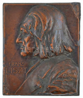 Ausztria(?) DN "Franz Liszt" Egyoldalas, Vastag Bronzozott Fém Plakett. Szign: Franz Stiasny (66x54x19mm) T:2- Durva Ph. - Unclassified