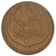 Izrael DN "Kivonulás Könyve" Kétoldalas Bronz Emlékérem D: 52 Mm C: AU Műanyag Tokban / Israel ND "The People Of Israel  - Non Classés