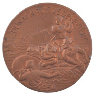 1954. "Dunai árvízvédelemért" Bronz Jelvény Tű Nélkül (37mm) T:XF - Sin Clasificación