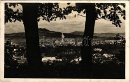 T3 1942 Beszterce, Bistritz, Bistrita; Látkép / General View. Foto Römischer (fa) - Unclassified