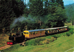 FRANCE - Le Petit Train Touristique D'Abreschviller - Colorisé - Carte Postale Ancienne - Otros & Sin Clasificación