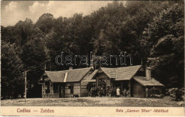 * T1/T2 Feketehalom, Zeiden, Codlea; Baie Carmen Silva / Waldbad-Bassin / Erdei Fürdő. H. Christel / Forest Bath, Spa - Ohne Zuordnung