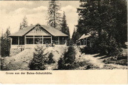 * T2/T3 Fogarasi-havasok (Fogarasi Kárpátok), Fogarascher Karpathen, Muntii Fagarasului; Gruss Aus Der Bulea-Schutzhütte - Ohne Zuordnung