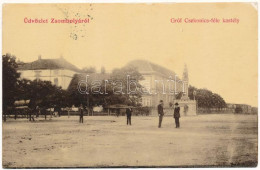 T3 1908 Zsombolya, Hatzfeld, Jimbolia; Gróf Csekonics Féle Kastély. W.L. 424. / Castle (r) - Non Classés