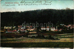 T3 Bártfa, Bártfafürdő, Bardejovské Kúpele, Bardiov, Bardejov; Látkép. Eschwig és Hajts Kiadása / General View (kopott S - Unclassified