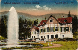 T3 1918 Dobsina, Dobschau; Dobsinai Jégbarlang, Vendéglő és Szálloda. Grünwald Kiadása / Dobsinská Ladová Jaskyna / Ice  - Non Classés