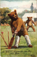 T2/T3 1909 "Teddy At Cricket" Bears S: Pillard (EK) - Ohne Zuordnung