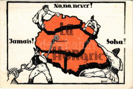 T2/T3 1920 Jamais! / No, No, Never! / Soha! Fiume. Pátria Rt. / Hungarian Irredenta Propaganda S: Hollós (EK) - Non Classificati