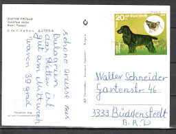 MiNr. 3432; Jagdhunde; Auf Karte Nach Deutschland; B-1016 - Storia Postale