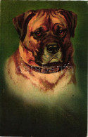 T2 Dog, Wenau-Pastell No. 612. Litho - Ohne Zuordnung