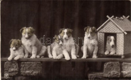 T2 Dog Puppies, N.P.G. No. 783/5 (EK) - Ohne Zuordnung