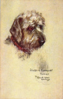 ** T1 Dandie Dinmont Terrier, Raphael Tuck & Sons Oilette Sketchy Dog Studies 9977. S: Maud West Watson - Ohne Zuordnung