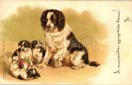 * T2 Dogs, Gebrüder Obpacher Serie XIII. No. 16900. Litho - Ohne Zuordnung