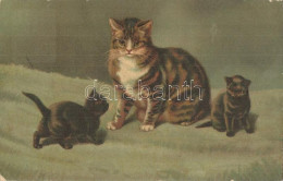 T2/T3 Cats. Wenau-Pastell No. 938. Litho - Unclassified