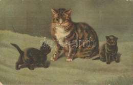 T2/T3 Cats. Wenau-Pastell No. 938. Litho - Non Classés