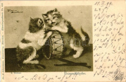 T2/T3 1899 Cats Fighting Over A Drum, A. Ackermann Kunstverlag - Künstlerpostkarte No. 459, S: A. Dreher - Non Classés