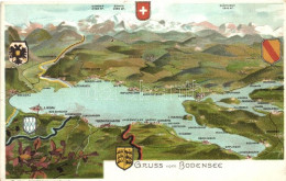 ** T2/T3 Bodensee, Coat Of Arms, Kunstanstalt Lautz & Isenbeck B. 6210. Litho - Sin Clasificación