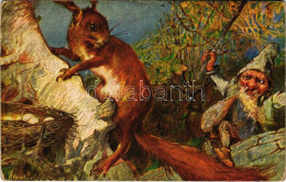 T2/T3 1908 Dwarf And Squirrel (EK) - Zonder Classificatie
