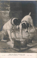 ARTS - Tableau - Chiens - Gamelles - Convoitise - Emmanuel Samson - Carte Postale Ancienne - Peintures & Tableaux