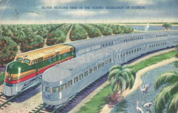 T2/T3 Silver Meteors Pass In The Scenic Highlands Of Florida, Silver Decoration (EK) - Non Classés