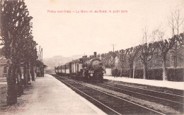 PRECY-sur-OISE (Oise) - La Gare Et, Au Fond, Le Petit Bois - Passage Du Train - Précy-sur-Oise