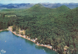 FRANCE - Étang De Hanau - Le Joyau Des Vosges Du Nord Entre Bitche Et Niederbronn - Colorisé - Carte Postale Ancienne - Bitche