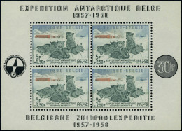 Neuf Sans Charnière N° 31, Bloc Antarctique, TB - Other & Unclassified