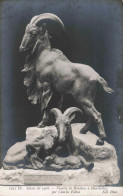 ARTS - Sculptures - Famille De Mouflons à Manchettes - Carte Postale Ancienne - Sculture
