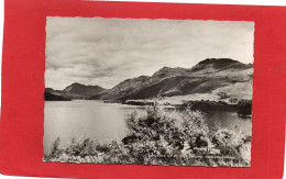 ECOSSE---Looking Up Loch Lomond, ROWARDENNAN---voir 2 Scans - Stirlingshire