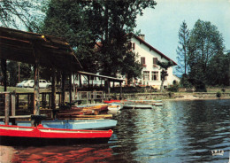 FRANCE - Bitche - Lac De Hasselfurth - Colorisé - Carte Postale - Bitche