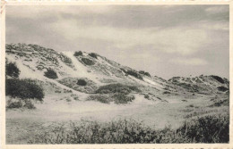 PHOTOGRAPHIE - Le Sentier Tracé Dans La Dune - Carte Postale Ancienne - Fotografie