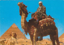 AK 171820 EGYPT - Giza - Camel Driver Near The Sphinx And Khefre Pyramid - Sphynx